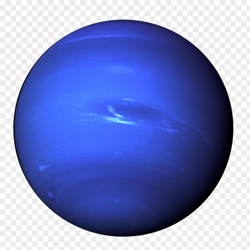 Harbor Seal Neptune Planet Solar System Venus Uranus PNG