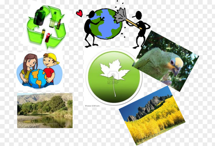 Medio Ambiente Conservation Movement Natural Environment Ecology Clip Art PNG