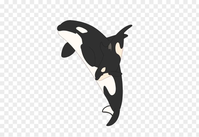 Minke Whale Southern Resident Killer Whales Cetaceans Marine Mammal Clip Art PNG