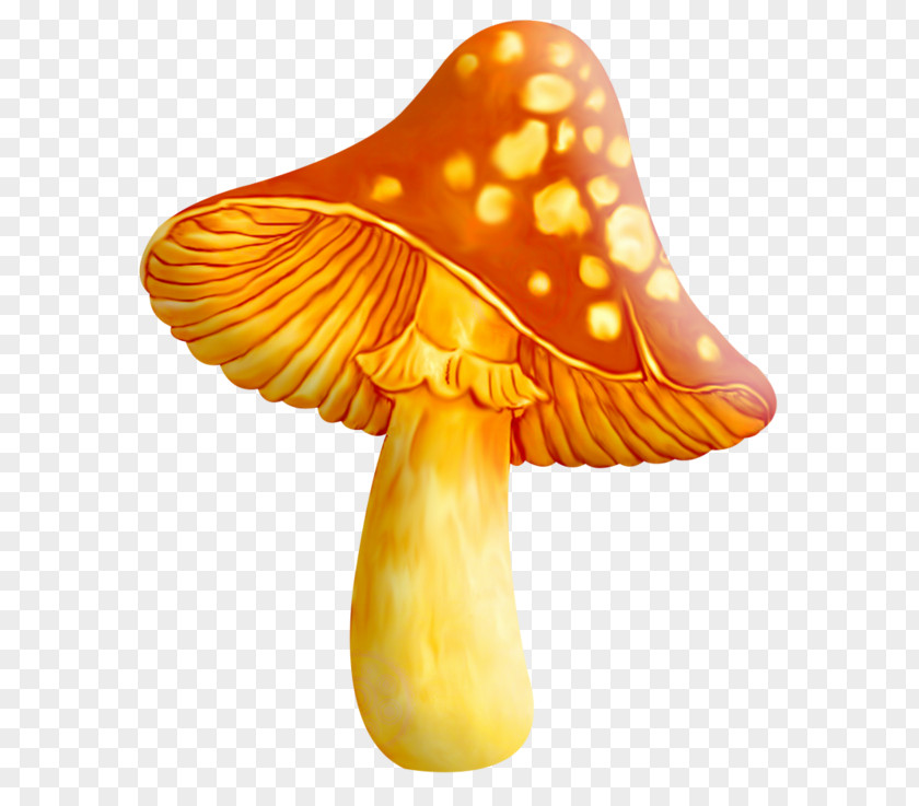 Mushroom Edible Fungus Clip Art Hunting PNG