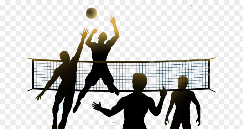 Volleyball Beach Tournament Net Championship PNG