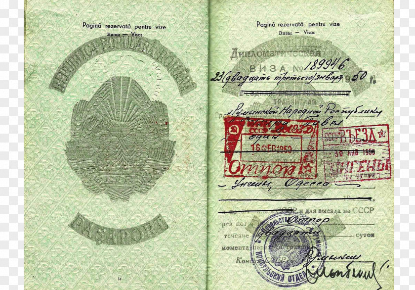 Diplomatic Passport Biometric Machine-readable Travel Visa MRZ PNG