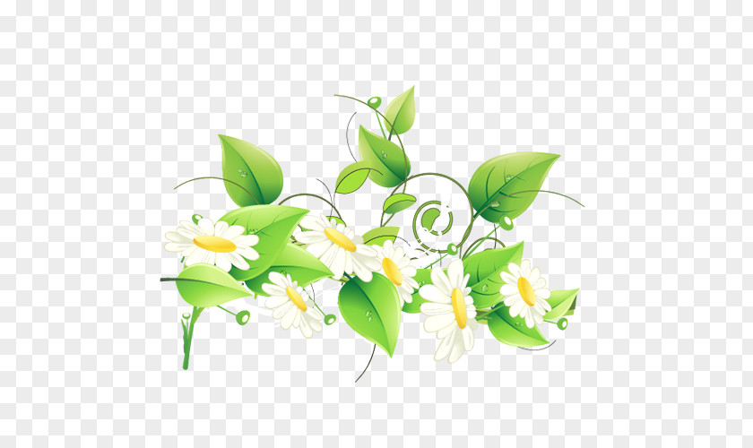 Free Flower Vector Graphics Drawing Art Photograph PNG