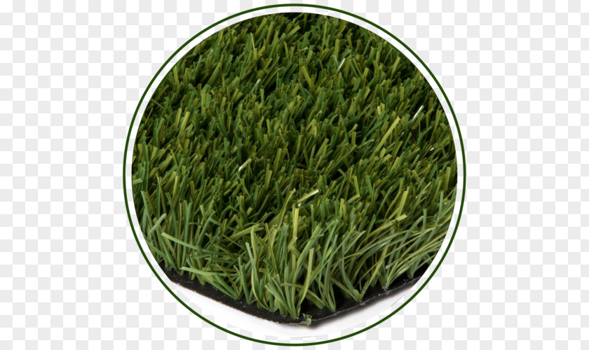 Metro Synthetic Turf Perth Romeritos Gyokuro Commodity PNG