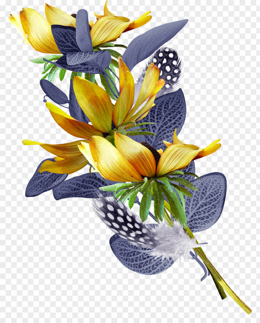 Pedicel Lily Family Flower Petal Plant Yellow Cut Flowers PNG