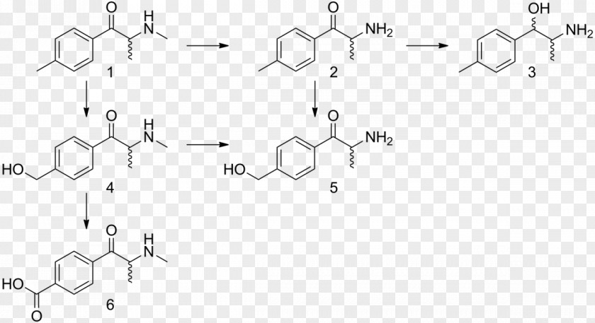 Phenylalanine Substituted Phenethylamine Tyrosine Amino Acid PNG
