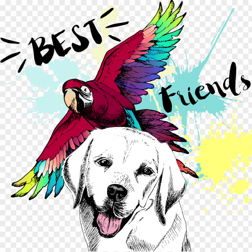 Vector Bird Animal Dog Black And White Drawing Clip Art PNG