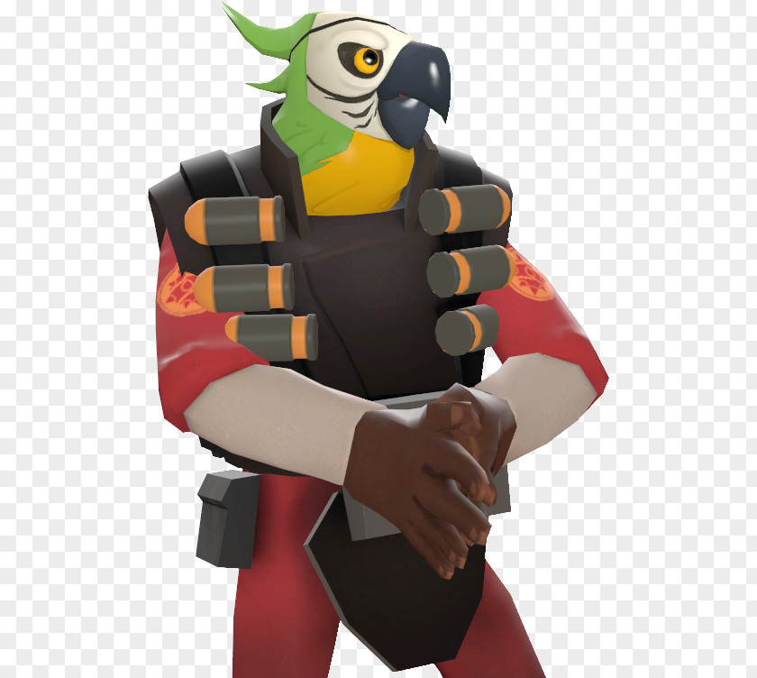 Bird Team Fortress 2 Beak Parrot Feather PNG