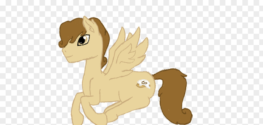 Cinnamon Bun Horse Canidae Dog Cat Pet PNG