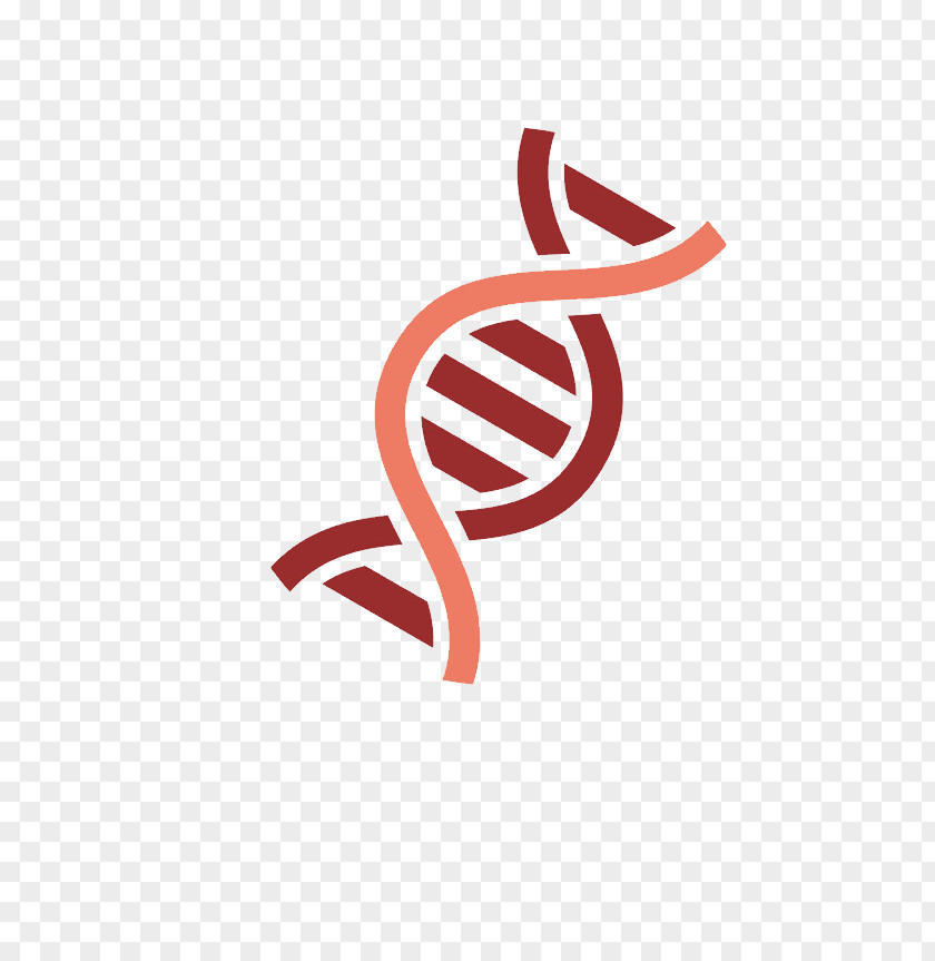 Dna Phenotyping Gene DNA Nucleic Acid Double Helix PNG