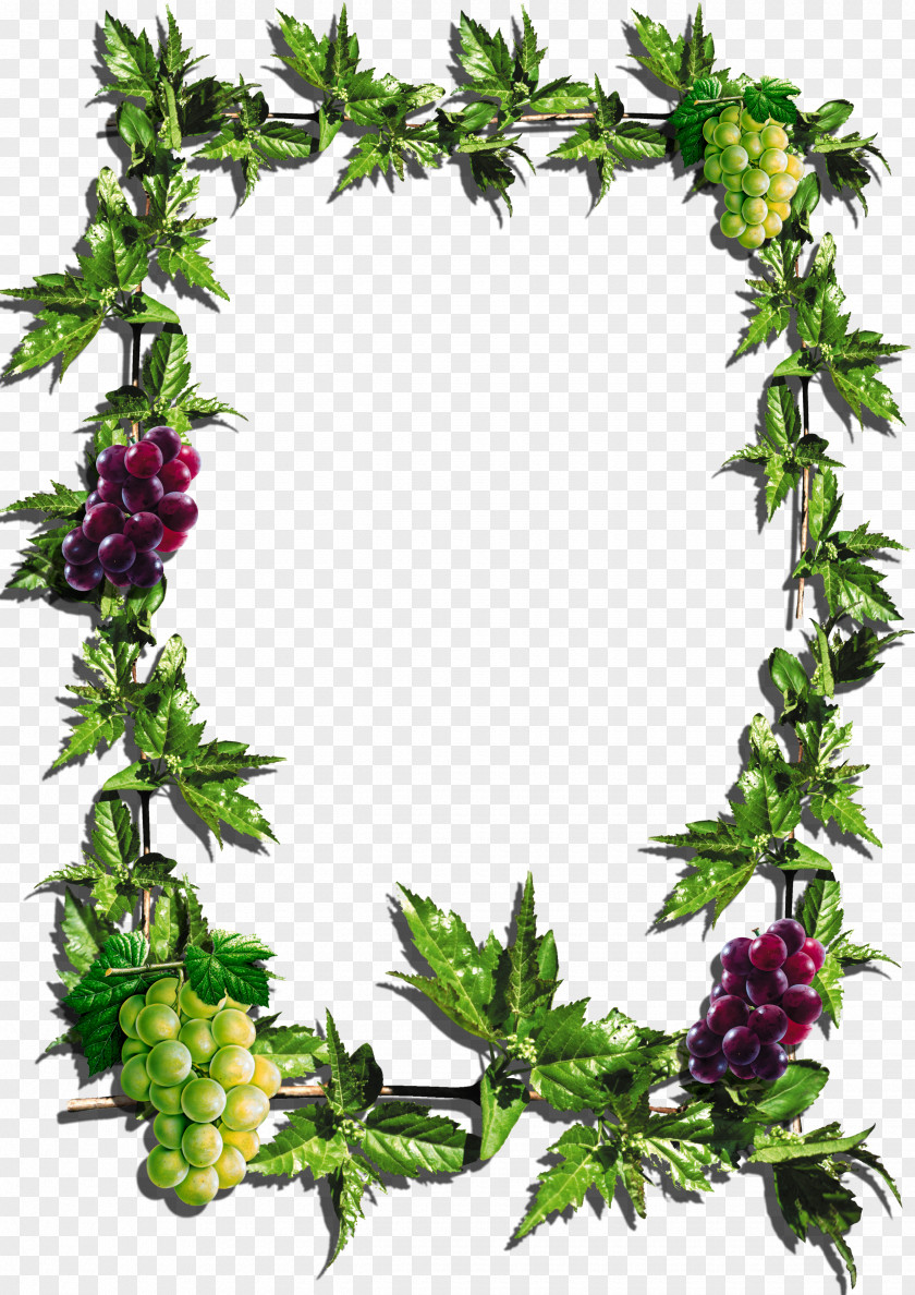 Grapes Picture Frames Paper Clip Art PNG