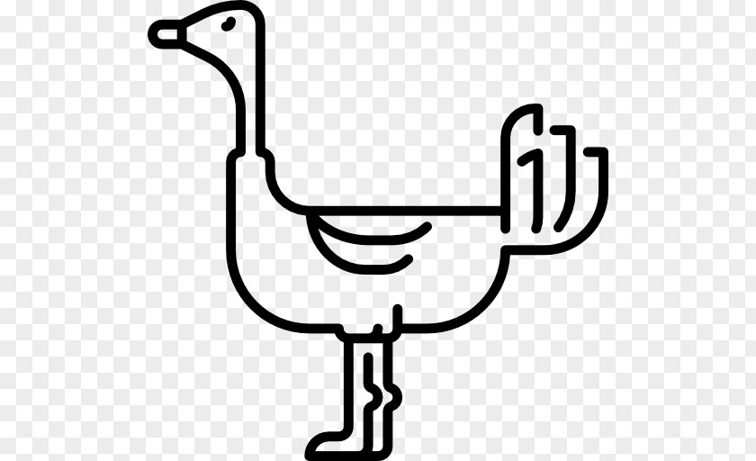 Ostrich Bird Line Art Beak Clip PNG