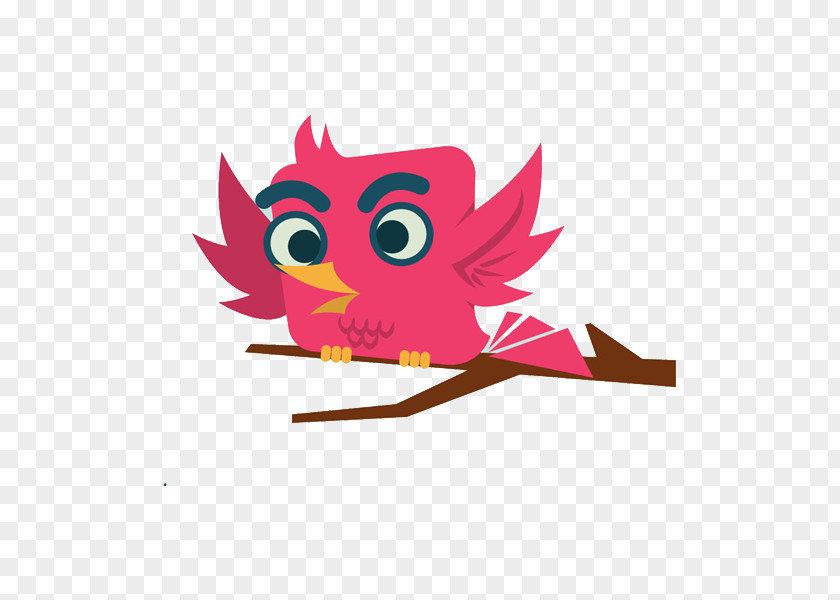 Painted Owl Painting Illustration PNG
