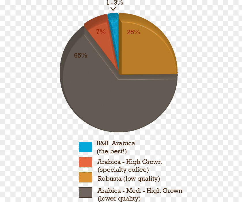 Specialty Coffee Green Association Of America Arabica PNG