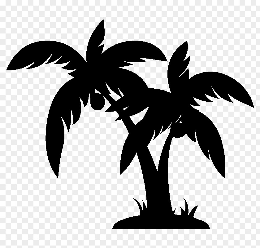 Arecaceae Clip Art PNG