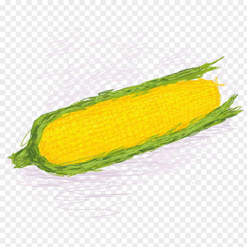 Corn On The Cob Maize Sweet Clip Art PNG