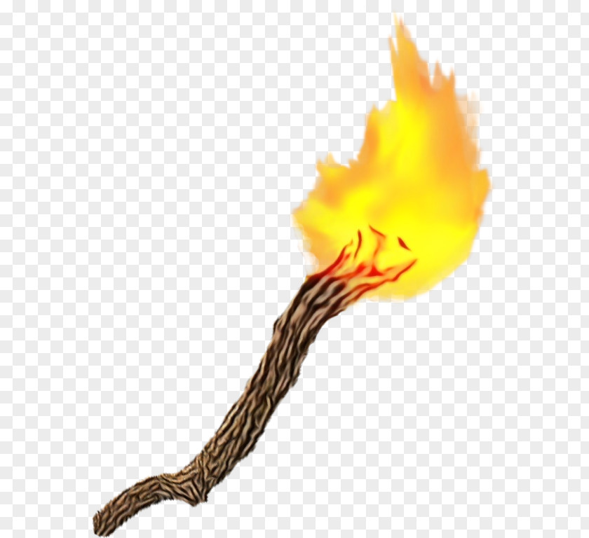 Fire Flame Cartoon PNG