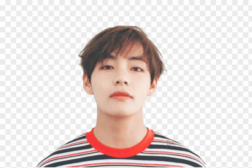 Kpop Kim Taehyung BTS K-pop Butterfly PNG