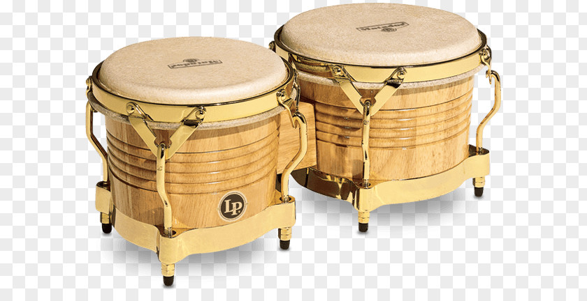 Latin Percussion Bongo Drum Conga PNG