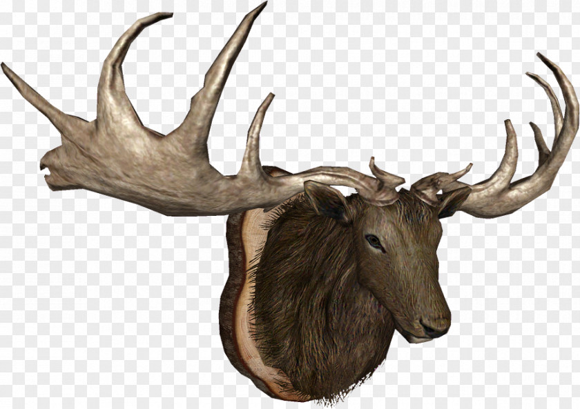 Reindeer Elk Moose Trophy Hunting Horn PNG