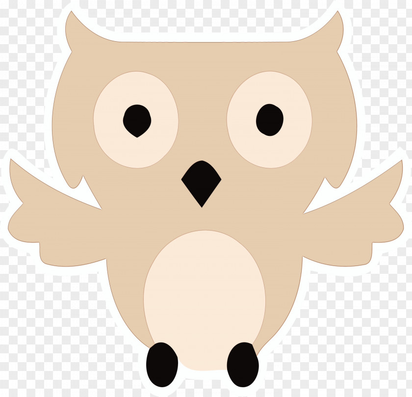 Snout Birds Beak Cartoon Owl M PNG