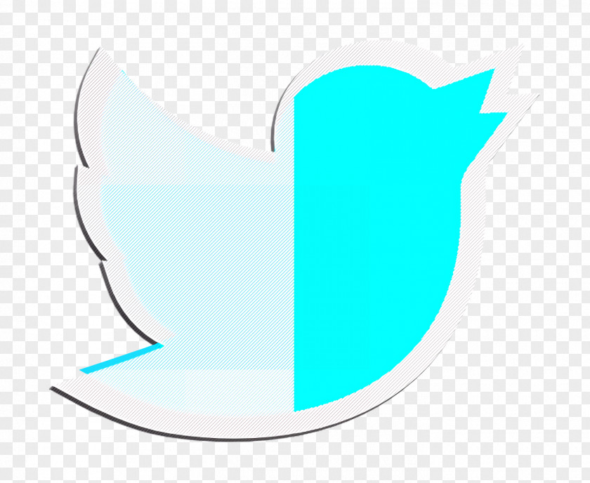 Twitter Icon Social Media PNG