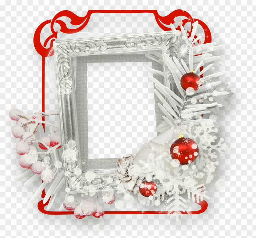 Winter Picture Frames Molding Branch PNG