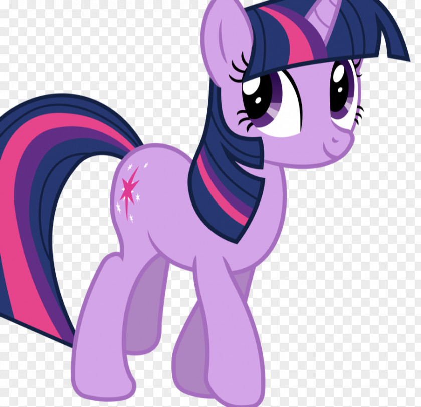 My Little Pony Twilight Sparkle Winged Unicorn Pinkie Pie PNG