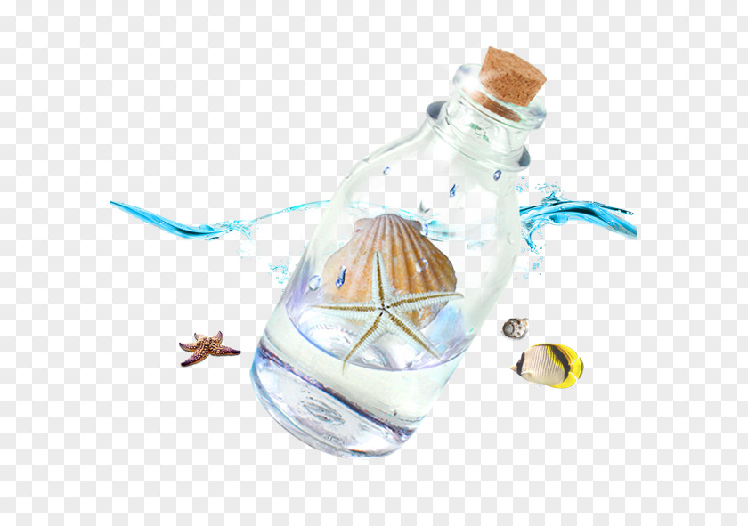 Sea Elements Beach Bottle Seashell PNG