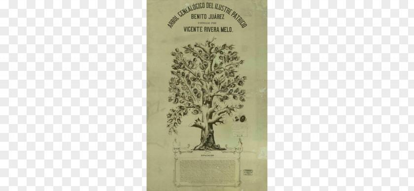 Benito Juarez Genealogy Family Tree History Mexico Science PNG