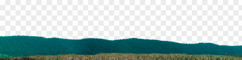 Corn Field Biome Grassland Desktop Wallpaper Ecoregion Hill Station PNG