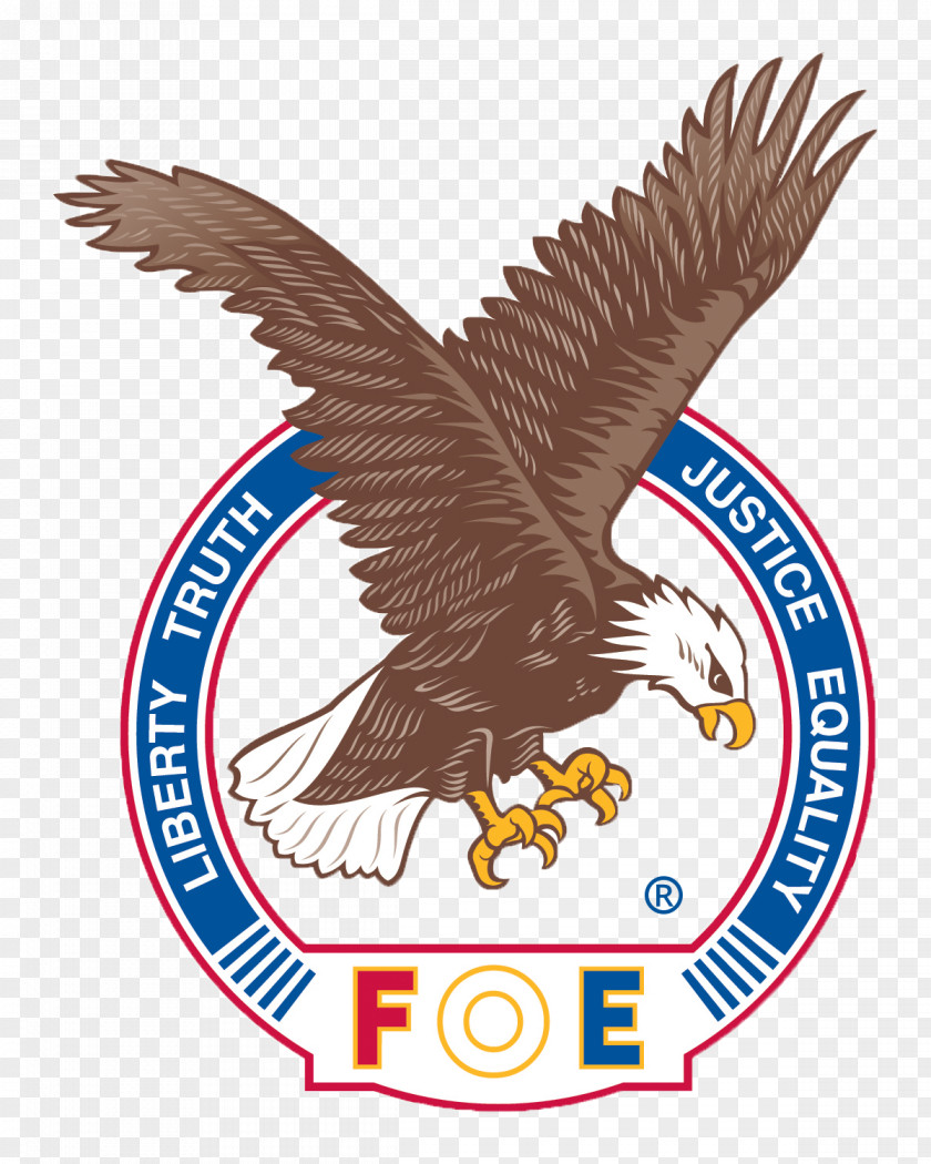 Eagles Fraternal Order Of Stillwater Detroit Lakes The Eagle PNG