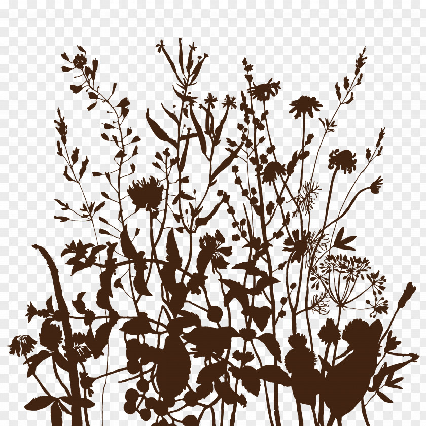 Hand Painted Wildflowers Drawing Silhouette PNG