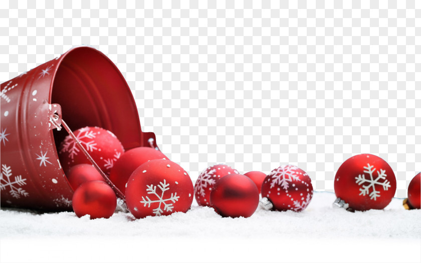 Snow Red Berries Christmas Eve Party New Years PNG