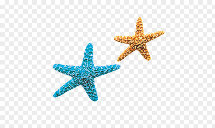 Starfish Blue Yellow PNG