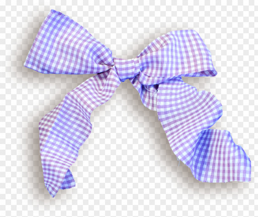 Blue Plaid Bow Ribbon Tie PNG