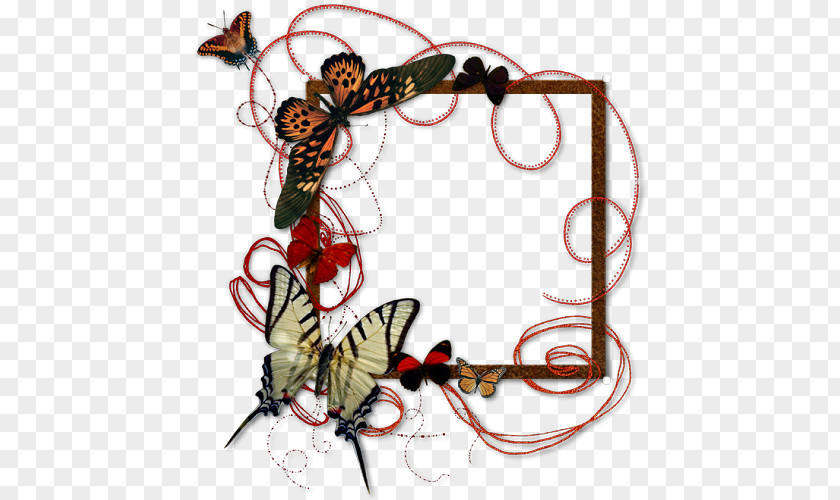 Butterfly Frame PNG