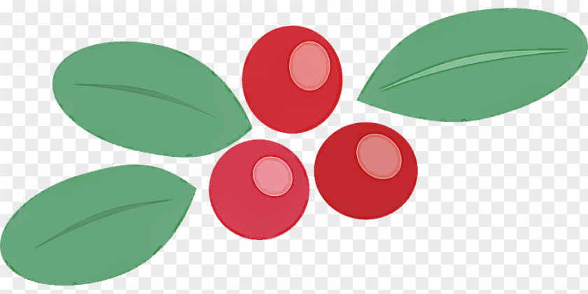 Logo Leaf Green Circle Petal PNG