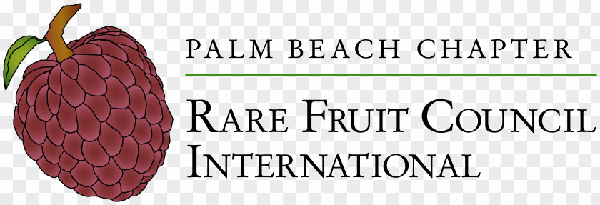Palm Fruit Brand Superfood Font PNG