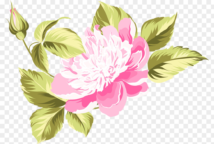 Peony Watercolor Painting Flower Clip Art PNG