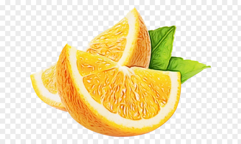 Valencia Orange Vegetarian Food Lemon Background PNG