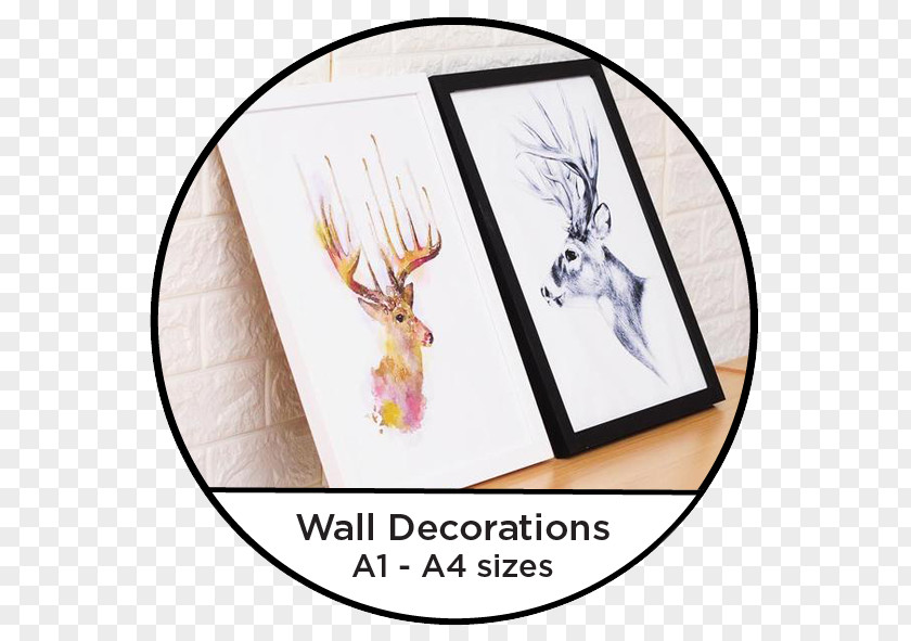 Wall Deco Paper Picture Frames 8K Resolution PNG