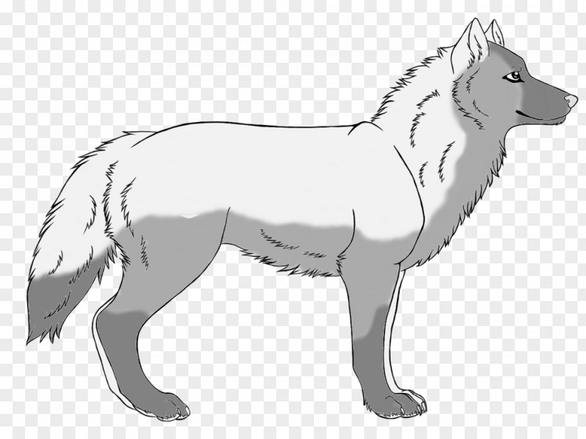 Dog Breed Line Art White PNG
