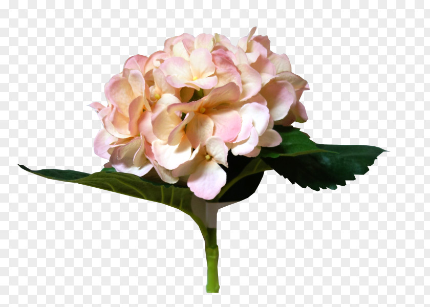 Hydrangea Bouquet Cut Flowers Floral Design Flower PNG