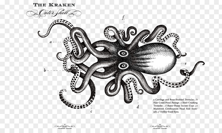Kraken Rum Logo Sea Monster Octopus PNG
