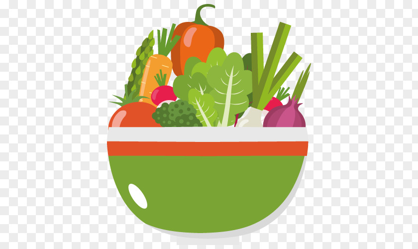 Salad Vector Graphics Vegetable Food Clip Art PNG