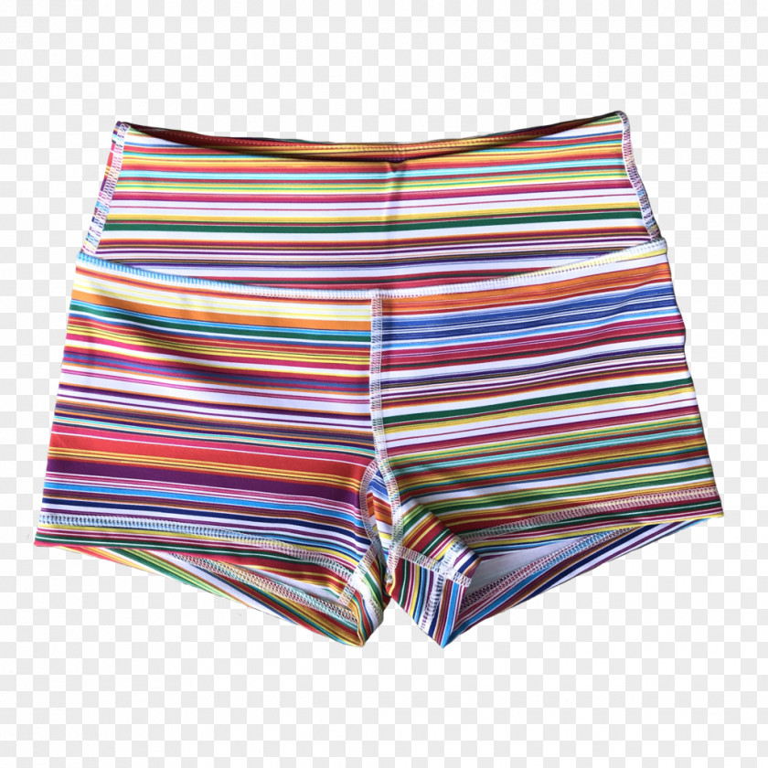 Boody Swim Briefs Trunks Underpants Swimsuit PNG