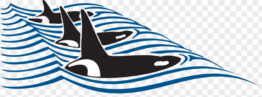 Whale Images Free Friday Harbor Watching Clip Art PNG