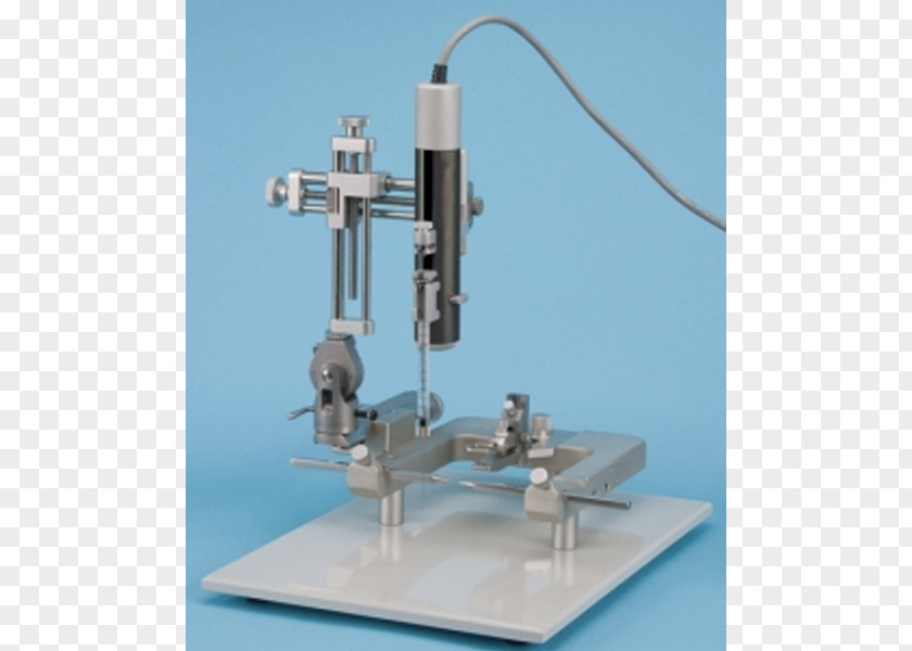 Brain Stereotactic Surgery Fisiología Animal Injection Physiology PNG