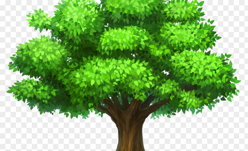 Lush Tree Top Desktop Wallpaper Clip Art PNG